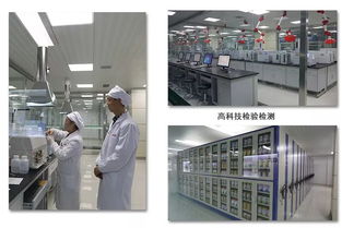 品質(zhì)護(hù)航 一家軟件開(kāi)發(fā)企業(yè)如何保持自身的核心競(jìng)爭(zhēng)力